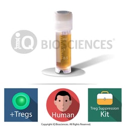 iQ Biosciences Human Treg Suppression Assay Kit w/ CFSE-Labeled PBMCs,