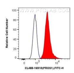 PROS1 Rabbit, anti-Human, CoraLite Plus 488, Polyclonal, Proteintech:Antibodies:Primary