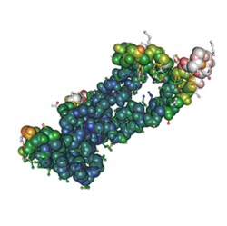 Raybiotech Inc ACE2 PROTEIN, Quantity: Each of 1