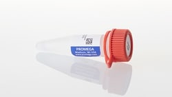 Promega Riboprobe rNTPs:Nucleic Acid Synthesis:Nucleotides