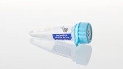Promega Riboprobe rNTPs:Nucleic Acid Synthesis:Nucleotides