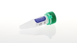 Promega Riboprobe rNTPs:Nucleic Acid Synthesis:Nucleotides