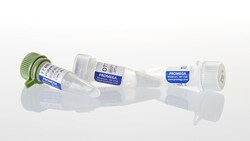 Promega&nbsp;T7 RNA Polymerase