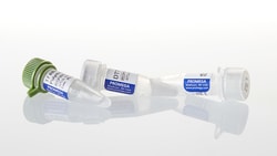 Promega&nbsp;T7 RNA Polymerase