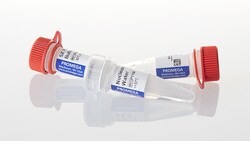 Promega&nbsp;Flexi&trade; Enzyme Blends