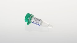 Goat Anti-Mouse IgG (H+L), AP, Secondary Antibody, Promega