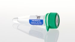 Goat Anti-Rabbit IgG (Fc), AP, Secondary Antibody, Promega Goat Anti-Rabbit