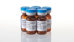 Promega MEK Inhibitor U0126