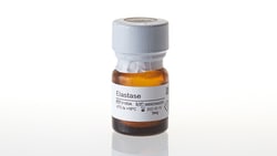 Promega Elastase Elastase; 5mg:Enzymes and Inhibitors, Quantity: Each of