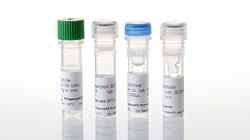 Promega&nbsp;ERK1 Kinase Enzyme System, 10microg