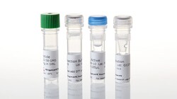 Promega&nbsp;CAMK2 alpha Kinase Enzyme System, 10microg
