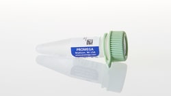 Promega™ DNA-Dependent Protein Kinase Peptide Substrate
