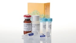 Promega UDP-Glo Glycosyltransferase Assay + UDP-Glucuronic Acid (UDP-GA), 400 assays