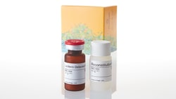 Promega Luciferin Detection Reagent with Esterase