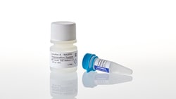 Promega&nbsp;NADPH Regeneration System