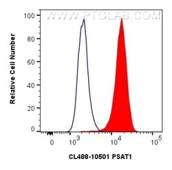 PSAT1 Rabbit, anti-Human, CoraLite Plus 488, Polyclonal, Proteintech:Antibodies:Primary