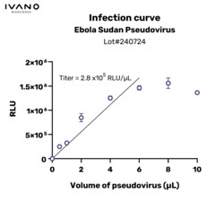 IVANO BIOSCIENCE&nbsp;Validated Ebola Sudan pseudovirus, 100 µL of pseudovirus enables 100 reactions in a 96-well plate.