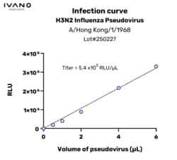 IVANO BIOSCIENCE&nbsp;Validated Influenza H3N2 pseudovirus (A/HongKong/1/1968), 100 µL of pseudovirus enables 100 reactions in a 96-well plate.