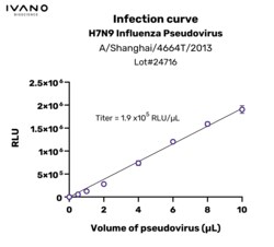 IVANO BIOSCIENCE&nbsp;Validated Influenza H7N9 pseudovirus (A/Shanghai/4664T/2013), 100 µL of pseudovirus enables 100 reactions in a 96-well plate.