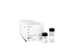 Microbiologics&trade;&nbsp;EZ-CFU&trade; <i>Staphylococcus aureus</i> ATCC&trade; 6538&trade;