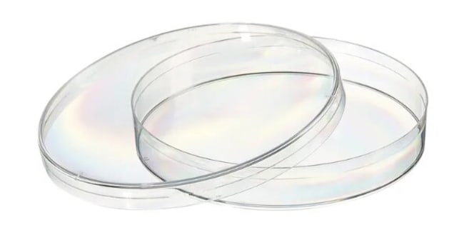 Fisherbrand&trade;&nbsp;Polystyrene Petri Dishes
