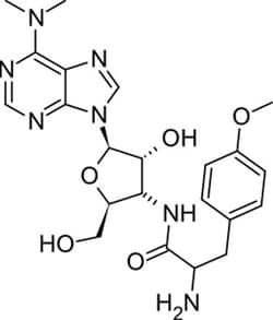 TOKU-E Puromycin Dihydrochloride ReadyMade Solution 5 x 1 mL | Buy Online | TOKU-E&trade; | Fisher Scientific