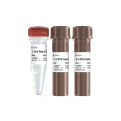 VAZYME INTERNATIONAL LLC&nbsp;one-tube-reaction RT-qPCR mix