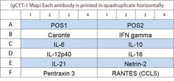 Raybiotech Inc&nbsp;G-Series Chicken Cytokine Array 1 Kit.