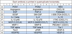 Raybiotech Inc Quantibody Human Angiogenesis Array 3 Kit., Quantity: Each
