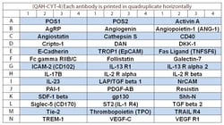 Raybiotech Inc Quantibody Human Cytokine Array 4 Kit.