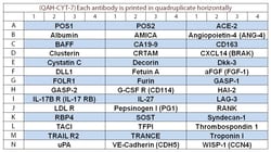 Raybiotech Inc Quantibody Human Cytokine Array 7 Kit.
