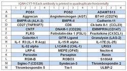 Raybiotech Inc Quantibody Human Cytokine Array 9 Kit.