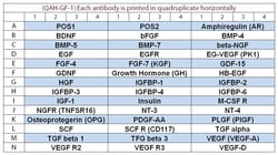 Raybiotech Inc Quantibody Human Growth Factor Array 1 Kit., Quantity: Each