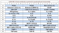Raybiotech Inc&nbsp;Quantibody Human Inflammation Array 3 Kit.