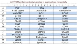 Raybiotech Inc G-Series Mouse Cytokine Array 9 Kit.