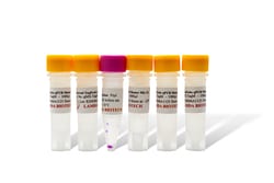 LAMDA BIOTECH INC&nbsp;2X qPCR TaqProbe MasterMix-