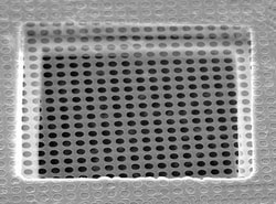 Electron Microscopy Sciences Quantifoil Holey Carbon Film R 0.6/1 on Gold 400 mesh Grid