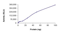 Sino Biological&nbsp;Recombinant Human RAF1/c-Raf Protein (GST Tag), Active