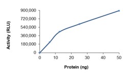 Sino Biological&nbsp;Recombinant Human RET Protein (GST Tag), Active