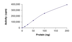 Sino Biological&nbsp;Recombinant Human RET Protein (His Tag), Active
