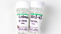 New England Biolabs, Inc. AleI-v2 – 2500 units, Quantity: Each of 1