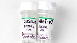 New England Biolabs, Inc. AleI-v2 – 2500 units, Quantity: Each of 1