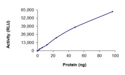 Sino Biological&nbsp;Recombinant Human RIPK1/RIP1 Protein (GST Tag), Active