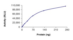 Sino Biological&nbsp;Recombinant Canine RIPK1/RIP1 Protein (GST Tag), Active