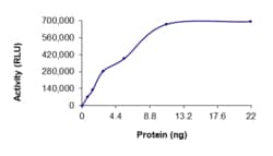 Sino Biological&nbsp;Recombinant Human RSK2 Protein (Full Length, GST Tag), Active