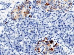 Sino Biological Anti-RBP4 Antibody, Mouse Monoclonal, Quantity: Each of