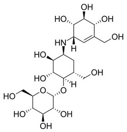 Validamycin A, G-Biosciences