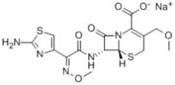 Cefpodoxime Sodium Salt, G-Biosciences