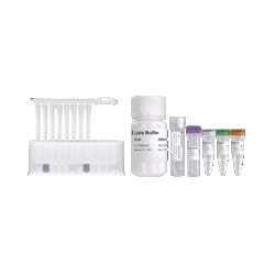 VAZYME INTERNATIONAL LLC&nbsp;Auto-RNA kit, prefilled, 96 Tests