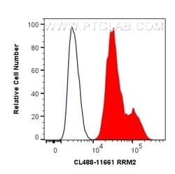 RRM2 Rabbit, anti-Human, CoraLite Plus 488, Polyclonal, Proteintech:Antibodies:Primary